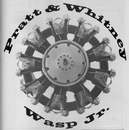 Simply rearrange nine Cox .049s into an operational scale engine for your next project. It swings an 18-4 prop at 10,000 rpm!